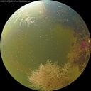 ./images/calvert/underwater/20260904/underwater20260904_110001M.jpg