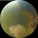 ./images/calvert/underwater/20260904/underwater20260904_110501M.jpg