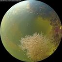 ./images/calvert/underwater/20260904/underwater20260904_111501M.jpg