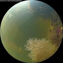 ./images/calvert/underwater/20260904/underwater20260904_112001M.jpg