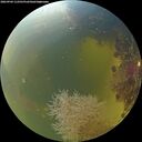 ./images/calvert/underwater/20260904/underwater20260904_112501M.jpg