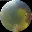 ./images/calvert/underwater/20260904/underwater20260904_113001M.jpg