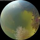 ./images/calvert/underwater/20260904/underwater20260904_113501M.jpg