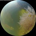 ./images/calvert/underwater/20260904/underwater20260904_114002M.jpg