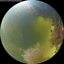 ./images/calvert/underwater/20260904/underwater20260904_115001M.jpg
