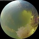 ./images/calvert/underwater/20260904/underwater20260904_115502M.jpg