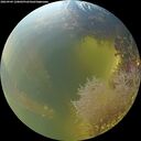 ./images/calvert/underwater/20260904/underwater20260904_120001M.jpg