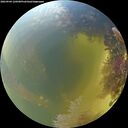 ./images/calvert/underwater/20260904/underwater20260904_120501M.jpg