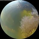 ./images/calvert/underwater/20260904/underwater20260904_121002M.jpg