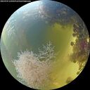 ./images/calvert/underwater/20260904/underwater20260904_123002M.jpg