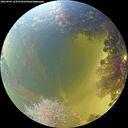 ./images/calvert/underwater/20260904/underwater20260904_123501M.jpg
