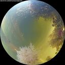 ./images/calvert/underwater/20260904/underwater20260904_124001M.jpg