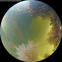 ./images/calvert/underwater/20260904/underwater20260904_124501M.jpg