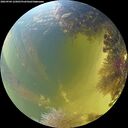 ./images/calvert/underwater/20260904/underwater20260904_125001M.jpg