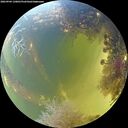 ./images/calvert/underwater/20260904/underwater20260904_130001M.jpg