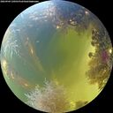 ./images/calvert/underwater/20260904/underwater20260904_130501M.jpg