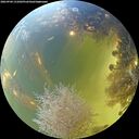 ./images/calvert/underwater/20260904/underwater20260904_131001M.jpg