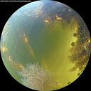 ./images/calvert/underwater/20260904/underwater20260904_131501M.jpg