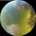 ./images/calvert/underwater/20260904/underwater20260904_132001M.jpg
