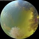 ./images/calvert/underwater/20260904/underwater20260904_132501M.jpg
