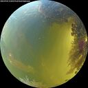 ./images/calvert/underwater/20260904/underwater20260904_133001M.jpg