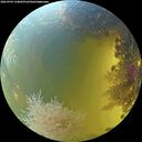 ./images/calvert/underwater/20260904/underwater20260904_134001M.jpg