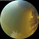./images/calvert/underwater/20260904/underwater20260904_135001M.jpg