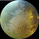 ./images/calvert/underwater/20260904/underwater20260904_140001M.jpg