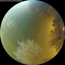 ./images/calvert/underwater/20260904/underwater20260904_140501M.jpg