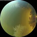 ./images/calvert/underwater/20260904/underwater20260904_141001M.jpg