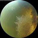 ./images/calvert/underwater/20260904/underwater20260904_141501M.jpg