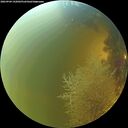 ./images/calvert/underwater/20260904/underwater20260904_142002M.jpg
