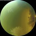 ./images/calvert/underwater/20260904/underwater20260904_144001M.jpg