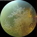 ./images/calvert/underwater/20260904/underwater20260904_145001M.jpg