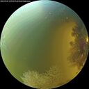./images/calvert/underwater/20260904/underwater20260904_145501M.jpg