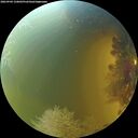 ./images/calvert/underwater/20260904/underwater20260904_150001M.jpg