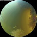 ./images/calvert/underwater/20260904/underwater20260904_150501M.jpg