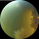 ./images/calvert/underwater/20260904/underwater20260904_151002M.jpg