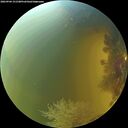 ./images/calvert/underwater/20260904/underwater20260904_151501M.jpg