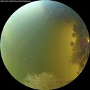 ./images/calvert/underwater/20260904/underwater20260904_152002M.jpg