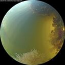 ./images/calvert/underwater/20260904/underwater20260904_153501M.jpg