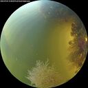 ./images/calvert/underwater/20260904/underwater20260904_154001M.jpg