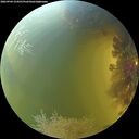 ./images/calvert/underwater/20260904/underwater20260904_154501M.jpg