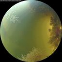 ./images/calvert/underwater/20260904/underwater20260904_155001M.jpg