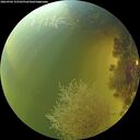 ./images/calvert/underwater/20260904/underwater20260904_155502M.jpg