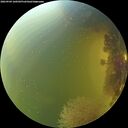 ./images/calvert/underwater/20260904/underwater20260904_160502M.jpg