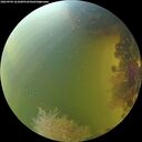 ./images/calvert/underwater/20260904/underwater20260904_161001M.jpg
