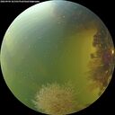 ./images/calvert/underwater/20260904/underwater20260904_161501M.jpg