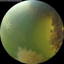 ./images/calvert/underwater/20260904/underwater20260904_162001M.jpg