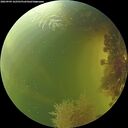 ./images/calvert/underwater/20260904/underwater20260904_162501M.jpg
